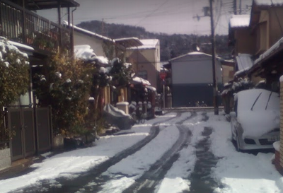 京都の冬